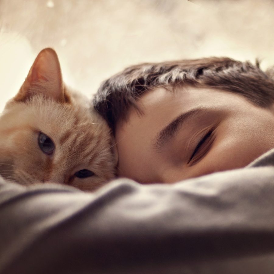 Comment responsabiliser un enfant avec son chat ?