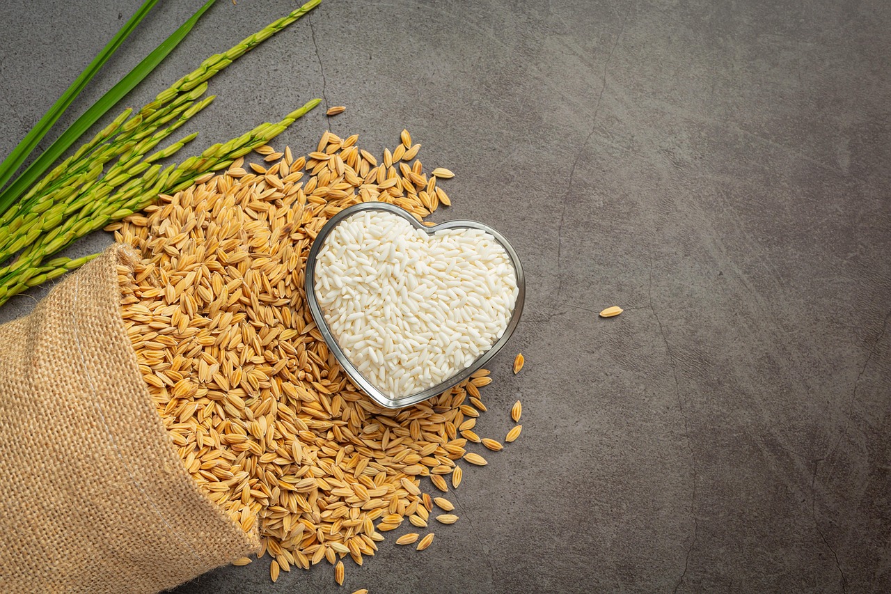 Comment introduire les céréales dans l'alimentation des bébés ?