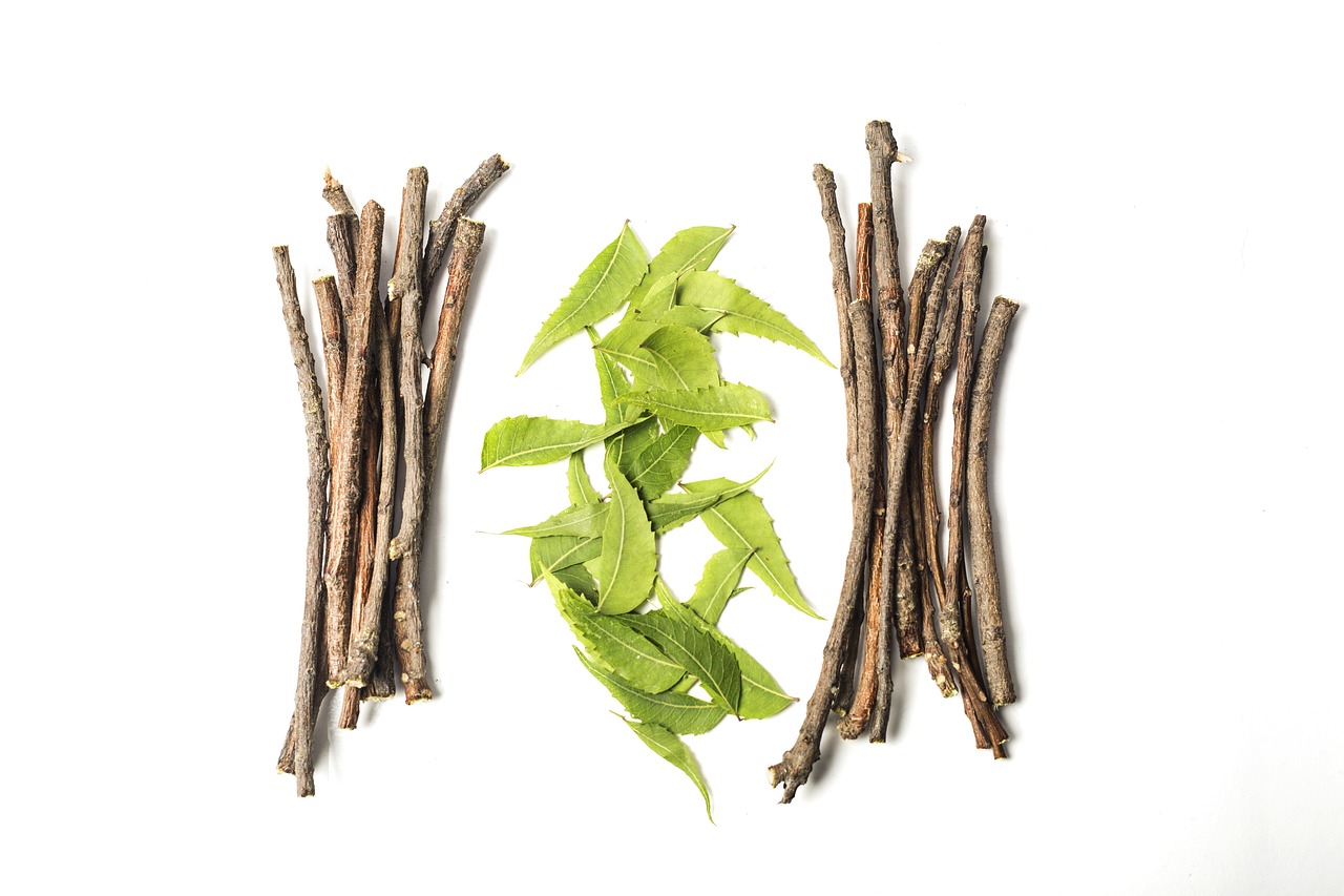 Ashwagandha : une plante naturelle pour le bien-être physique et mental