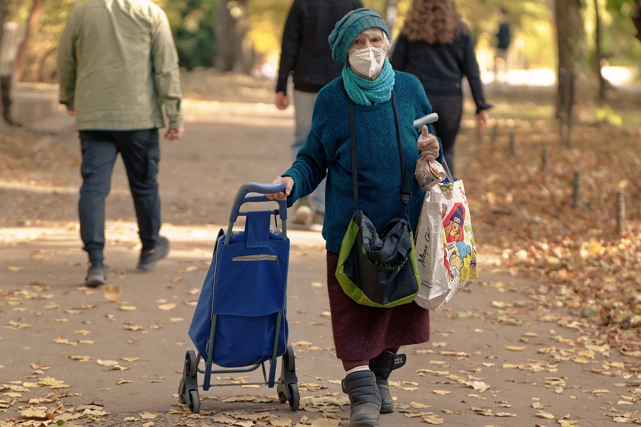 Chariot de course : un accessoire indispensable pour faire ses courses sans se fatiguer